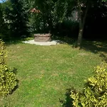 Felső 3*