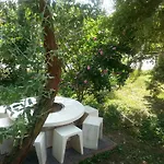 Felső 3*