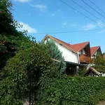 Felső