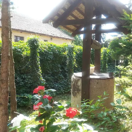 Felso Fogado Bed & Breakfast Felsőtold