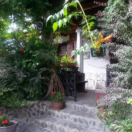 Bed & Breakfast Felso Fogado